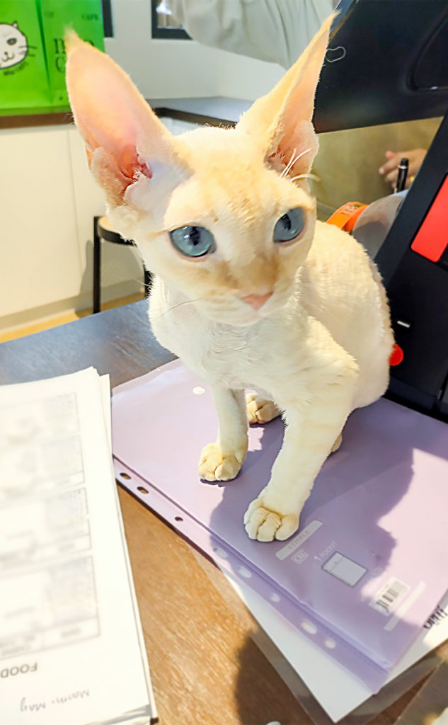 受付でお待ちしてくれた。